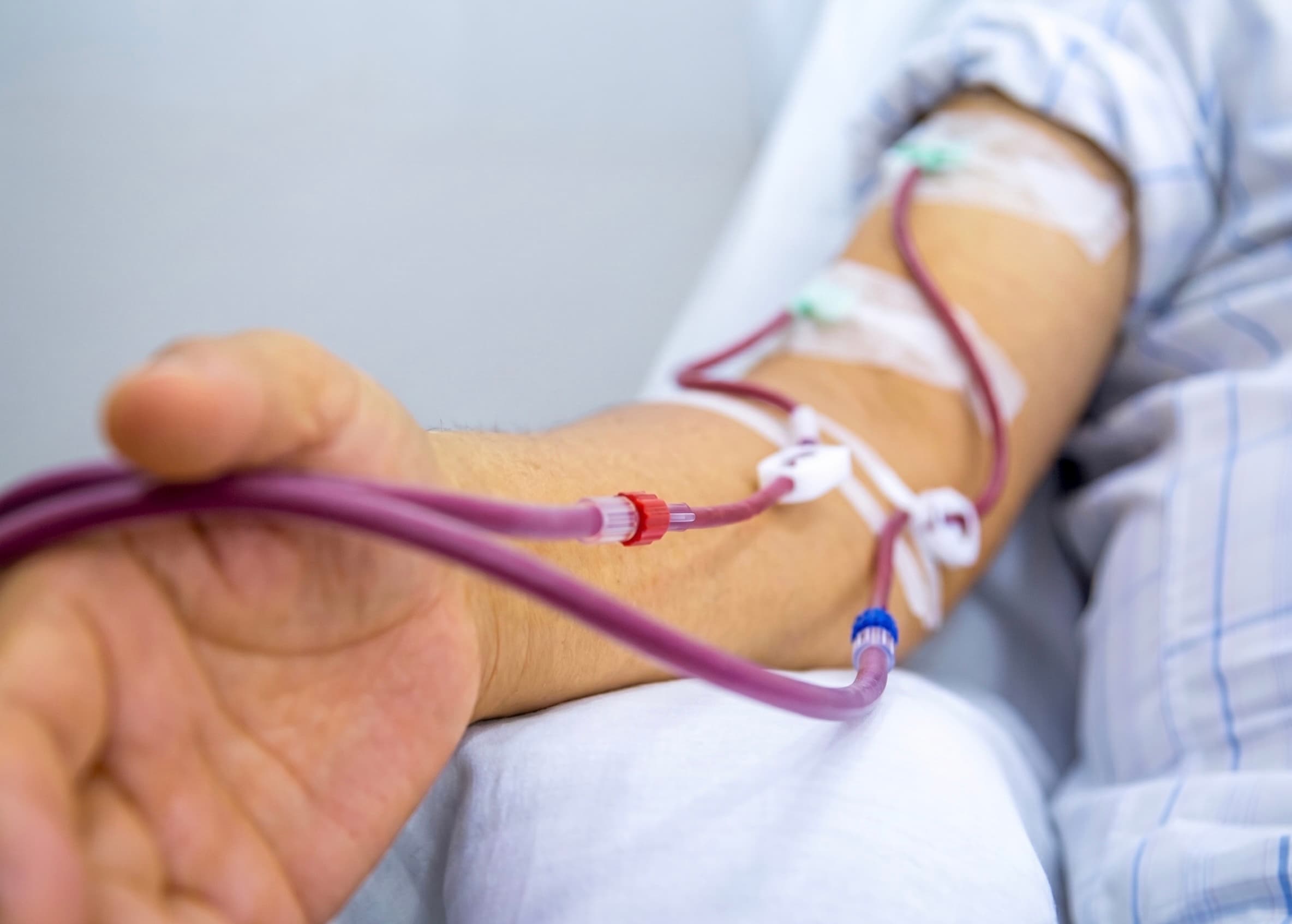 Scientist conducting laboratory research — preclinical validation of vascular grafts